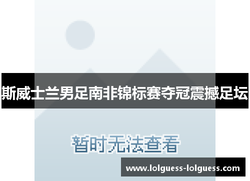 斯威士兰男足南非锦标赛夺冠震撼足坛
