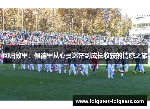 回归故里：佩德里从心灵迷茫到成长收获的情感之旅