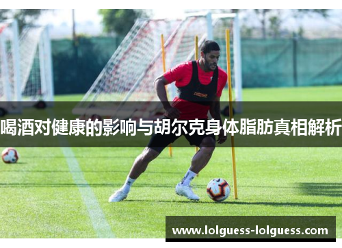 喝酒对健康的影响与胡尔克身体脂肪真相解析