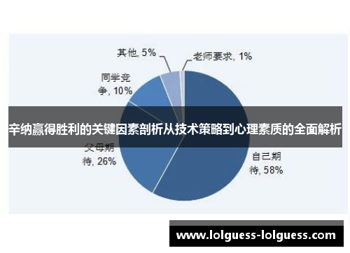 辛纳赢得胜利的关键因素剖析从技术策略到心理素质的全面解析